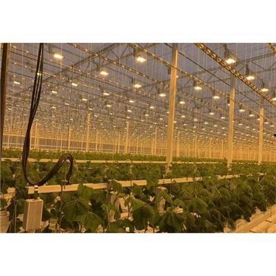 热点大棚爆料视频大全,揭秘农业科技前沿与产业变革 第1张 热点大棚爆料视频大全,揭秘农业科技前沿与产业变革 第1张